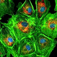 timshel314 (@timshel314) 's Twitter Profile