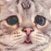 C ☤ 𓂀 ༀ (@ccitrine_) Twitter profile photo C ☤ 𓂀 ༀ (@ccitrine_) Twitter profile photo