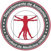 Anatomia FacMed (@anatomiaunam) 's Twitter Profile Photo Anatomia FacMed (@anatomiaunam) 's Twitter Profile Photo