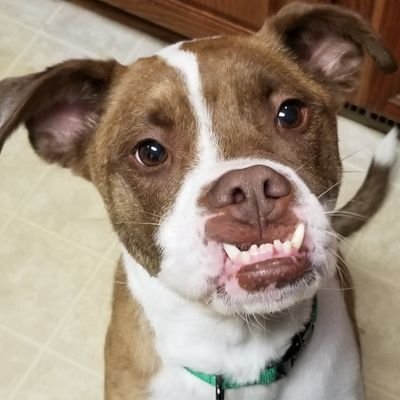 Rachel09328014's profile picture. How did I get here?