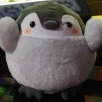 noir (@dosankotrade) 's Twitter Profile