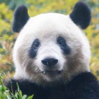 ふなゆき (@m_j2a) 's Twitter Profile