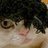 08Shakashaka57's profile image