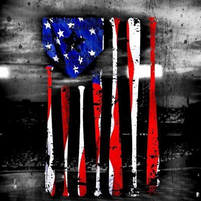 reconstructoma's profile picture. 