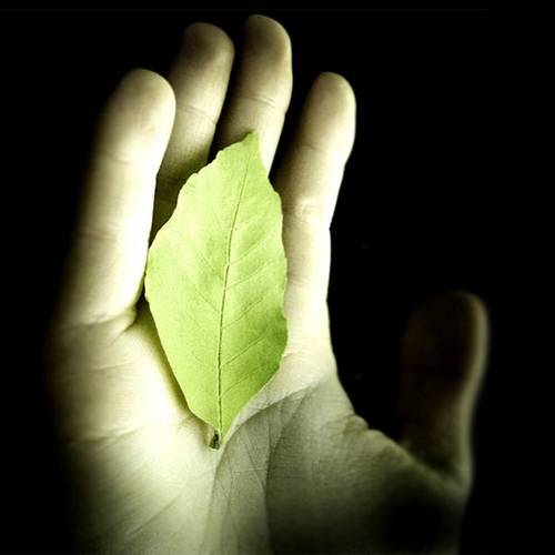 MCCEcoJustice's profile picture. Minnesotans of faith being stewards of creation and acting for justice. We minimize our families', our churches', and our world's toxic chemical exposure.