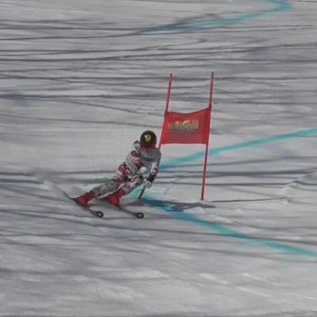 kchn21's profile picture. Springen/Alpine ski/Atomic/Evangelion/X/카미리아/퀸즈/SW/GIANTS/adidas/Myprotein/workout/destar