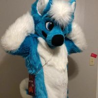 fizzy husky (@potatohusky) 's Twitter Profile Photo fizzy husky (@potatohusky) 's Twitter Profile Photo