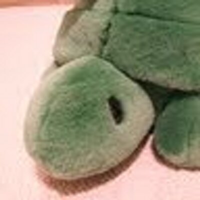 anoncow1's profile image
