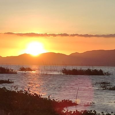 rhonny4's profile picture. The greatest reward in life is being alive, and with the ones you love.You choose your own destiny so make your decisions wisely because you cant take them back