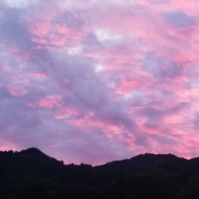 87gi10tsuki's profile picture. 
