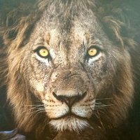 Casper (@casper88728495) 's Twitter Profile