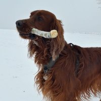 Jacek (@jacek37584364) 's Twitter Profile
