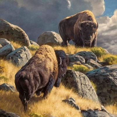 WalterTaber5's profile picture. A peaceful patriot for 🇺🇲 TRUMP 🇺🇸