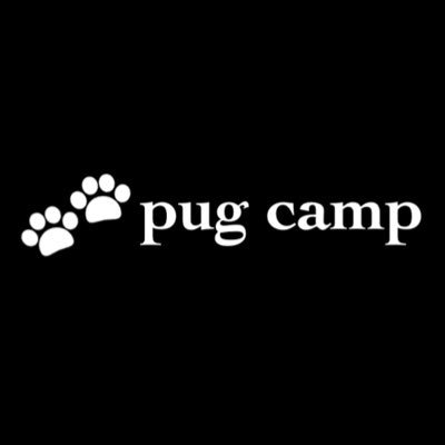 キャンプ好き キャンプ歴4年 たまにソロキャン スノーピークが好き 女子キャンパー 犬とキャンプにいくのが夢🐾