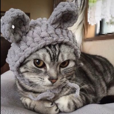 番猫流行系YouTuberのアカウントです。YouTubeチャンネルの方の登録とアカウントのフォローをよろしくお願いします。