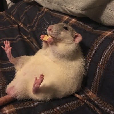 amamamahsuxbmsh's profile picture. AU21｜文｜🎬