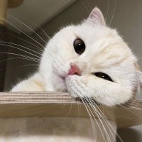 บต 🛼🤍 (@bartiseven) 's Twitter Profile Photo บต 🛼🤍 (@bartiseven) 's Twitter Profile Photo