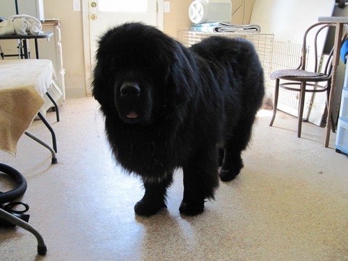 mutante05's profile picture. se todo de deportes y mas doy tips para apuestas porque si las meto yo pierdo uhh