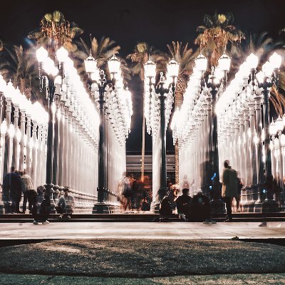 BiancaJ66188980's profile picture. Digital Marketer