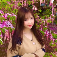 💮🐹ぴょんす🐹💮 （えれぴょん） (@pyonnsu1124) / X