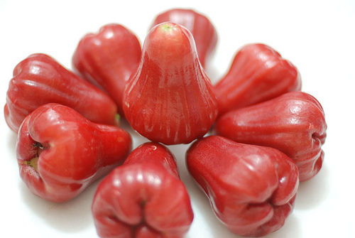 apehanapi's profile picture. 