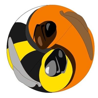 🐝 Proyecto comunitario dedicado al estudio y cuidado de los #abejorros argentinos
🐝 ¿Viste un abejorro? ¡Ayudanos! Registrá tu avistaje en el link ⬇️
#citsci