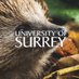 UoS Hedgehog Friendly Campus (@SurreyHedgehogs) Twitter profile photo