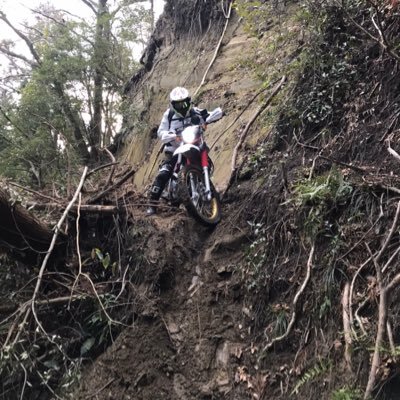 aisons7's profile picture. ふうたFX大学4年生。 無言フォロー失礼します。（特にスキャの方よろしくです！）ちなみに自動売買全く興味ないので絡まないで下さい。