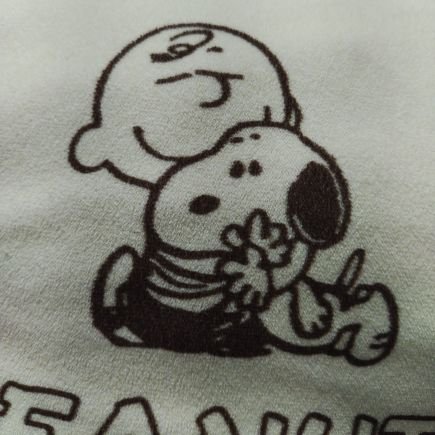 neko121467's profile picture. 犬も猫も好き