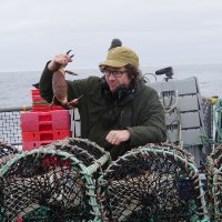 Alastair Cole (@tonguetiedfilms) 's Twitter Profile Photo Alastair Cole (@tonguetiedfilms) 's Twitter Profile Photo