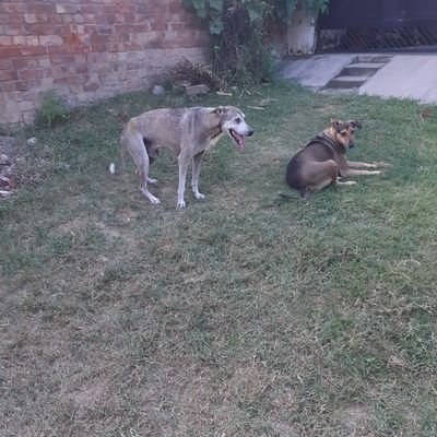 PatialaToh's profile picture. VEHLE BEROJAGAR GHAR BAITHE LIFE BARVADH KR RAHE AH
