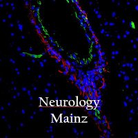 NeurologyMainz(@NeurologyMainz) 's Twitter Profile Photo