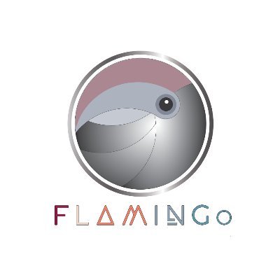 FLAMINGo Project H2020