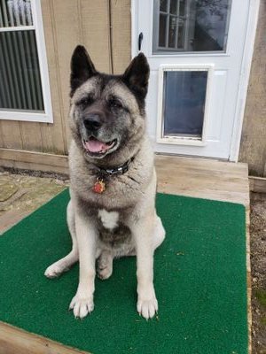 LenB96188892's profile picture. 