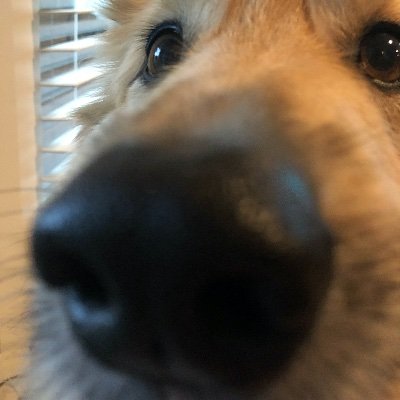 danielbarber2's profile picture. livin a dream