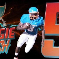 Reggie Bush jr. (@reggie_bushjr) 's Twitter Profile