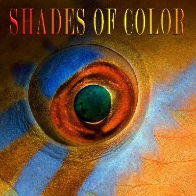 Shades of Color is a Fine Art Color Photography magazine. Its main concern is discovering new photography talents.
