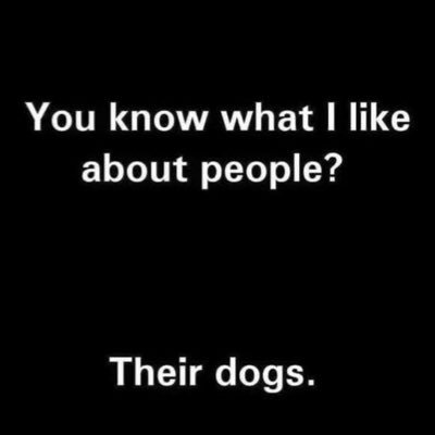 Former paralegal, grandma, foster mom to rescue dogs, Liberal