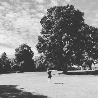 Ditto17663131's profile picture. 