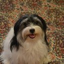 Anne Kendrick - @aok58 - Twitter