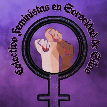 Colectivo de Mujeres feministas de Silao en proceso de deconstrucción, que buscan empoderarse y empoderar más mujeres y exigir justicia