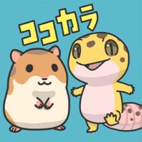 CoCo Colors 4/27近畿レプ平野 (@kn_colors) 's Twitter Profile