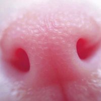 burger (@__poolsideconvo) 's Twitter Profile