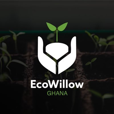 Making environmentally sustainable living a household/school practice in Ghana. •Agro ecology• Carbon Pricing • Clean energy | 📧ecowillowgh@gmail.com