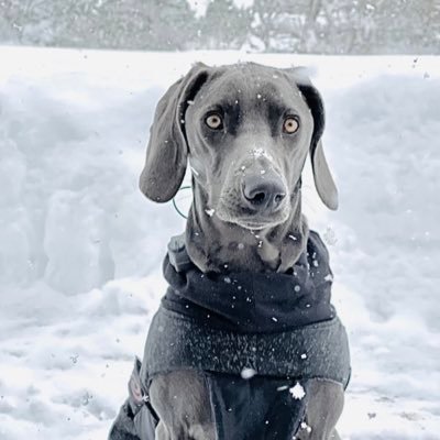 tico617's profile picture. 