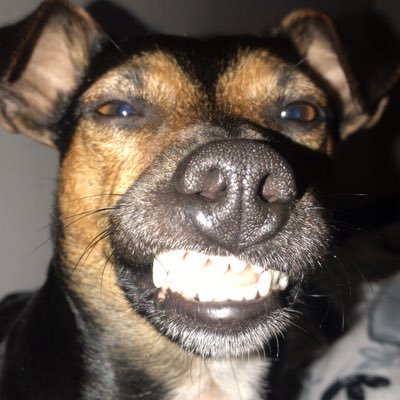Esgi46815087's profile picture. 