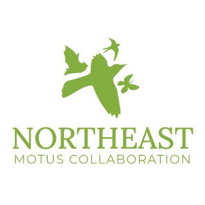 We are dedicated to expanding the Motus Wildlife Tracking network in the northeastern U.S. for the benefit of both humans and wildlife.