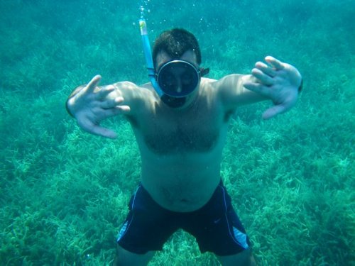 koupourtiadis's profile picture. 