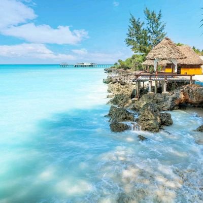 biss_amine's profile picture. 