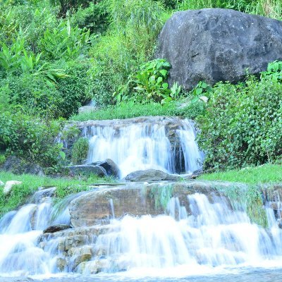 leirearanbarri's profile picture. 